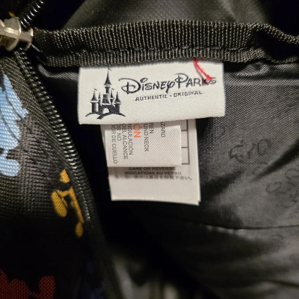 Disney parks resort